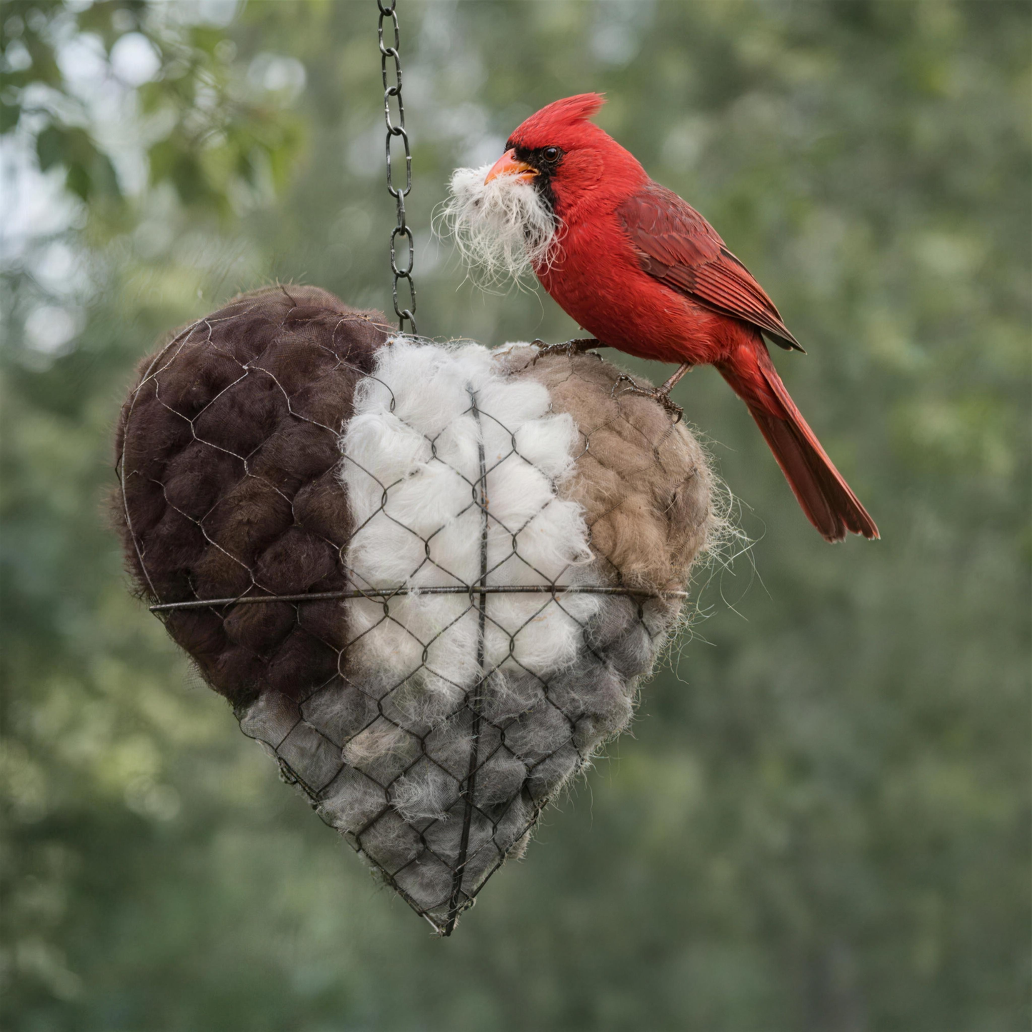 Ručně vyráběné srdce z alpaky 🐦 – přírodní hnízdní stanice pro zahradní ptáky